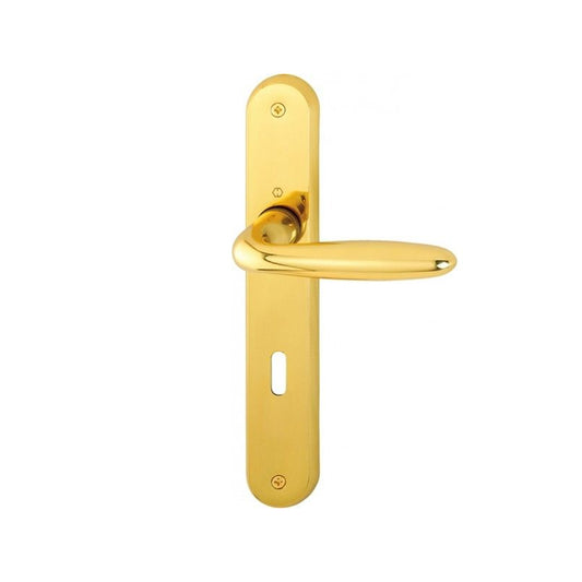 MANIGLIA CON PLACCA VERONA FORO PATENT OTTONE LUCIDO