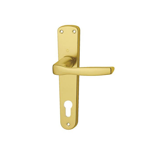 MANIGLIA CON PLACCA MILANO FORO YALE ORO