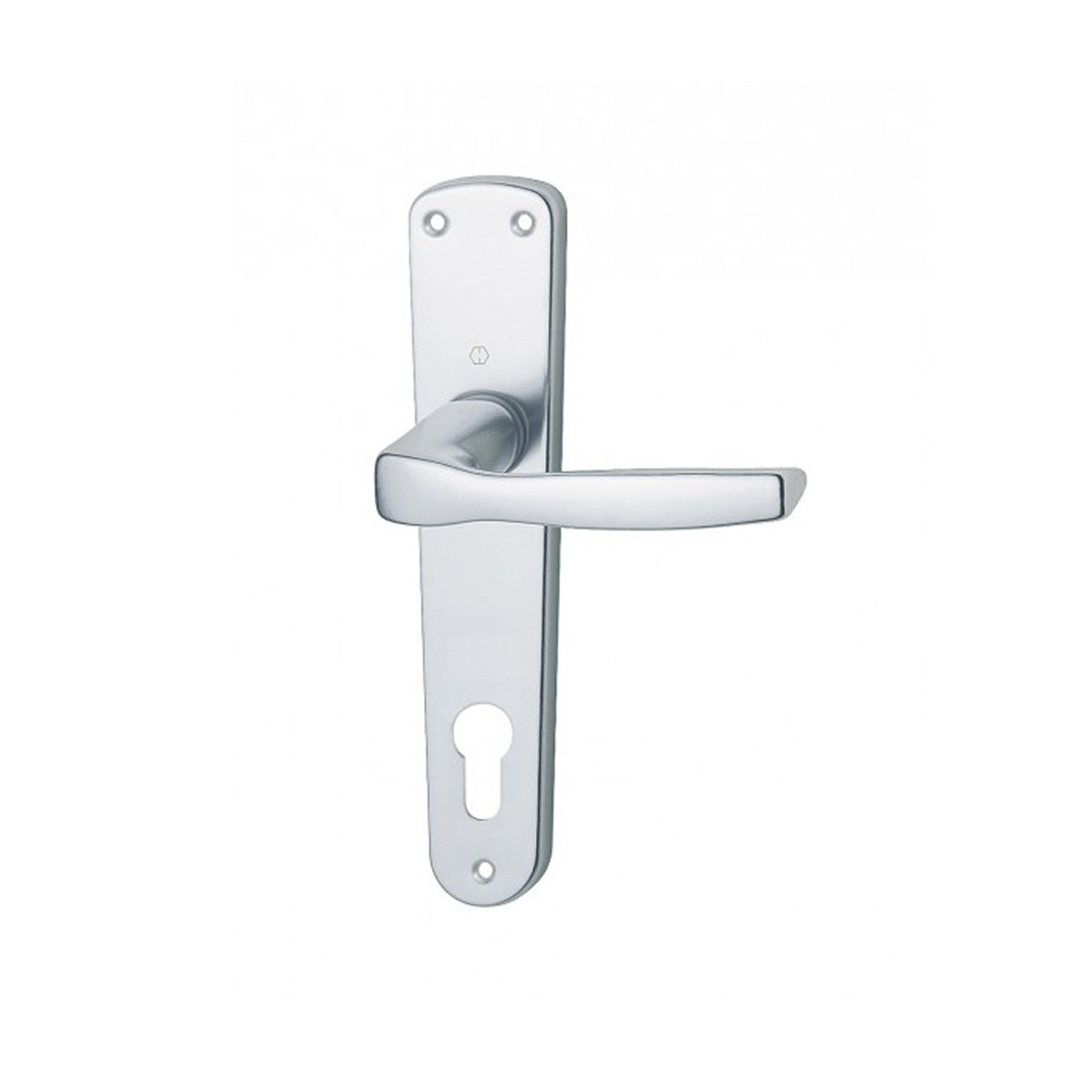 MANIGLIA CON PLACCA MILANO FORO YALE ARGENTO