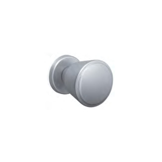 POMOLO TULIP ARGENTO F1