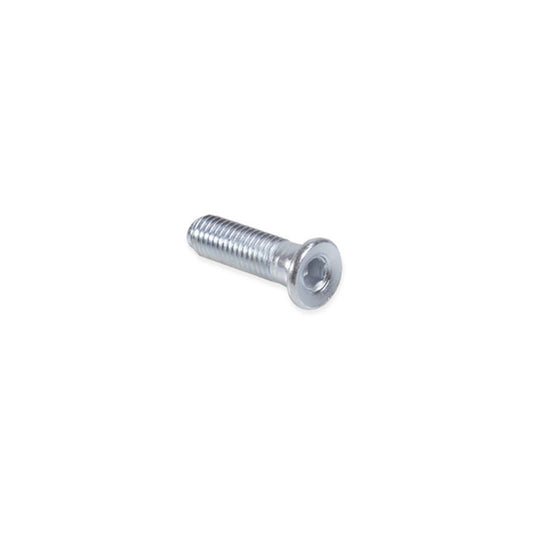 VITE M10 ZINCATA PER PIEDE BONE 3912605